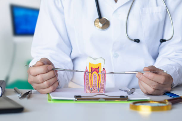 Best Emergency Dentist for Lost Fillings or Crowns in Belwood, NC